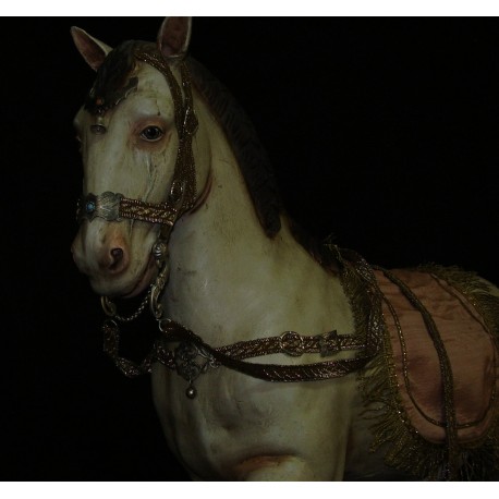 Cavallo arabo 1