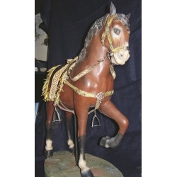 Cavallo arabo 3