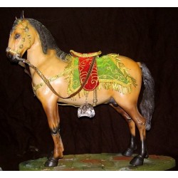 Cavallo arabo 4