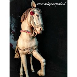 Cavallo arabo con crina sciolta